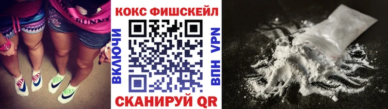 Кокаин Fish Scale  Купить закладки  Няндома 