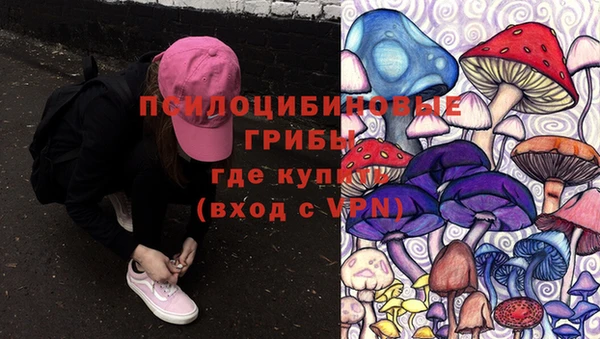соль курить ск Горно-Алтайск