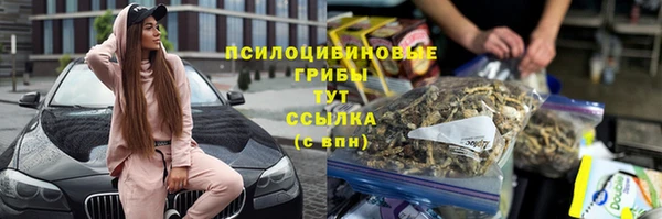 соль курить ск Горно-Алтайск